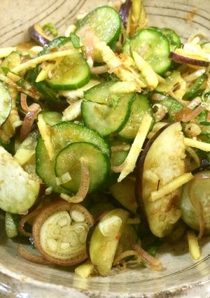 美味しい夏野菜の即席漬（サラダ？）-レシピのメイン写真