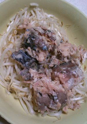 さばもやしサラダ-レシピのメイン写真