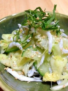 釜揚げしらす☆キャベツ胡麻ナムル風-レシピのメイン写真