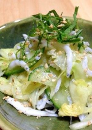 釜揚げしらす☆キャベツ胡麻ナムル風-レシピのメイン写真