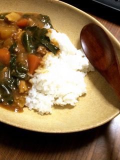 簡単圧力鍋☆とろとろ大根の和風カレー-レシピのメイン写真