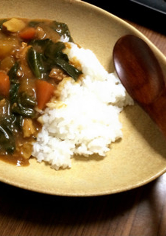 簡単圧力鍋☆とろとろ大根の和風カレー-レシピのメイン写真