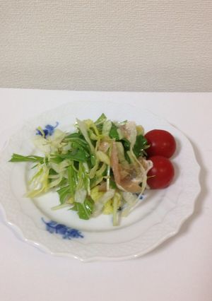 水菜とレタスのマリネ風サラダ-レシピのメイン写真