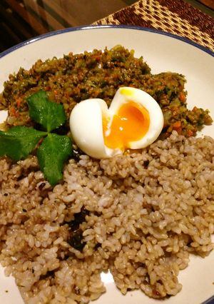 元気になるっ！！好き嫌いキーマカレー☆-レシピのメイン写真