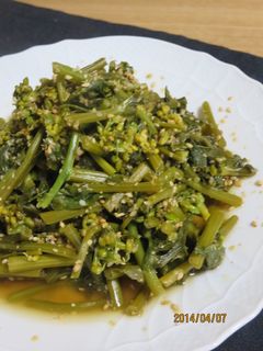 超しっとりごま香る♪菜の花のサッと炒め-レシピのメイン写真