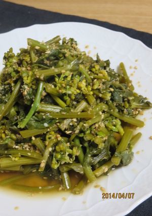 超しっとりごま香る♪菜の花のサッと炒め-レシピのメイン写真