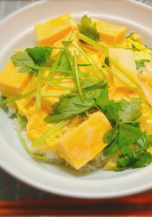 高野豆腐の親子丼風-レシピのメイン写真
