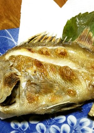 タモリ(セトダイ)の塩焼き-レシピのメイン写真