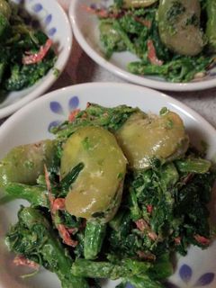 菜の花と空豆の和え物-レシピのメイン写真