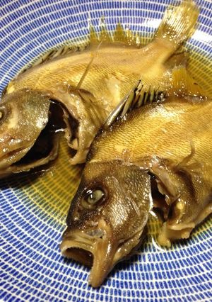 タモリ（セトダイ）の煮付け-レシピのメイン写真