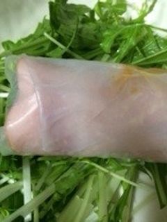 水菜の生春巻きサラダ-レシピのメイン写真