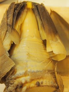 生たけのこの上手な茹で方-レシピのメイン写真