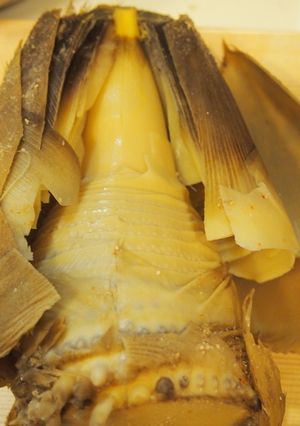 生たけのこの上手な茹で方-レシピのメイン写真
