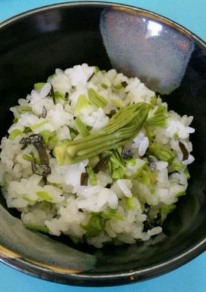 山菜　こしあぶらご飯-レシピのメイン写真
