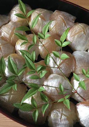 あの味求めてシリーズ 古傳桶詰小鯛雀鮨！-レシピのメイン写真