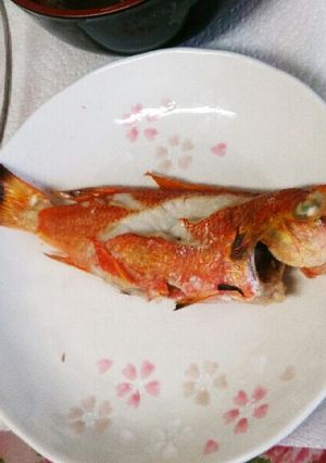 シキシマハナダイ(敷島花鯛)の塩焼き-レシピのメイン写真
