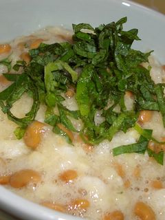 おろし納豆ご飯 鬼おろしさん出番です-レシピのメイン写真