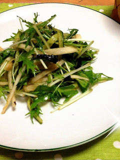 シャキシャキ大根と水菜の海苔サラダ♫-レシピのメイン写真