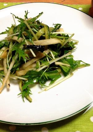 シャキシャキ大根と水菜の海苔サラダ♫-レシピのメイン写真