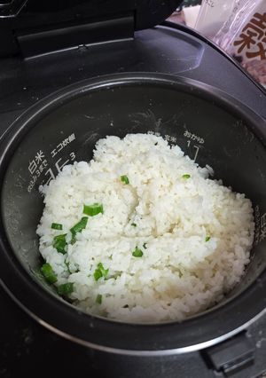 刻みオクラご飯-レシピのメイン写真