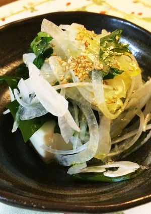 ワカメとオニオンスライスの冷奴-レシピのメイン写真