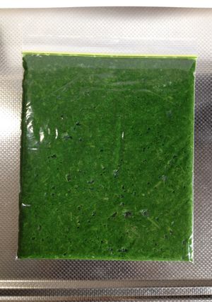 ★あると便利〜よもぎペースト★-レシピのメイン写真
