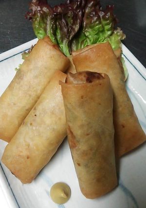 豆腐の春巻♪-レシピのメイン写真