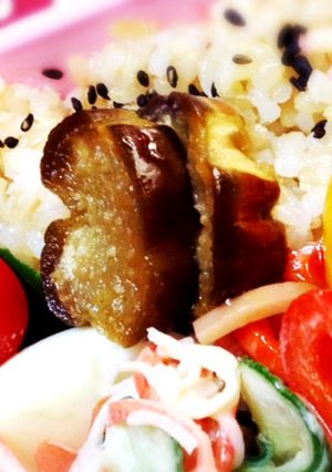 簡単すぎてごめんなさい、なすのシュガポン-レシピのメイン写真