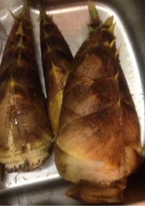 竹の子 大量処理 保存-レシピのメイン写真