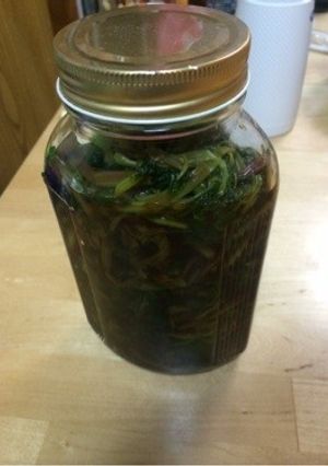 簡単 早い 美味い 葉わさび醤油漬け-レシピのメイン写真