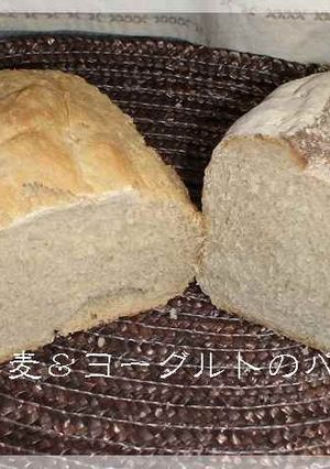 *ライ麦&ヨーグルトブレッド*-レシピのメイン写真