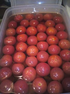 トマトコンポート-レシピのメイン写真