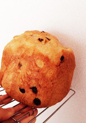 薄力粉多め！定番食パン-レシピのメイン写真