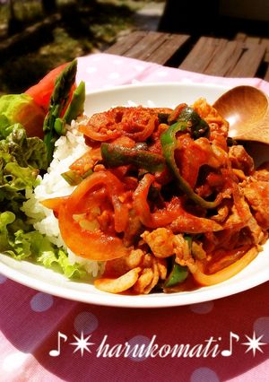 ポークチャップのワンプレートご飯♪-レシピのメイン写真