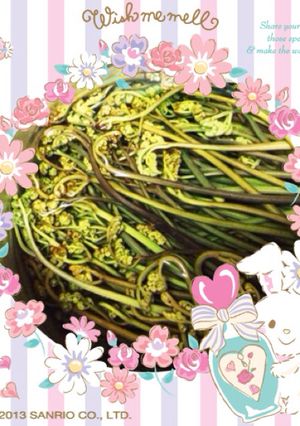 簡単♡アク抜きわらびのおひたし-レシピのメイン写真