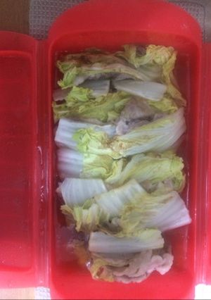 ルクエで作るお肉と白菜のミルフィーユ-レシピのメイン写真