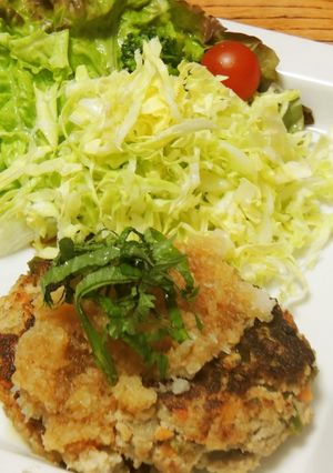 部活帰りに！おからDEおろしハンバーグ-レシピのメイン写真