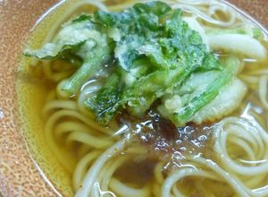 天ぷらうどん(乾麺を使って讃岐うどん風)-レシピのメイン写真