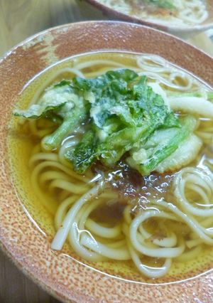 天ぷらうどん(乾麺を使って讃岐うどん風)-レシピのメイン写真