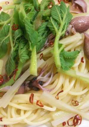 ホタルイカと山うどのオイルパスタ-レシピのメイン写真
