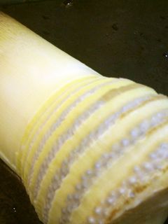 生の筍のもどし方-レシピのメイン写真