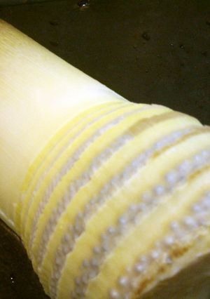 生の筍のもどし方-レシピのメイン写真