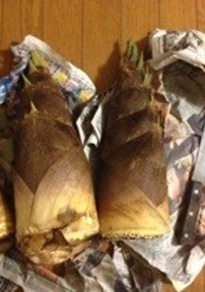 簡単にたけのこ下処理♪写真付き♪-レシピのメイン写真
