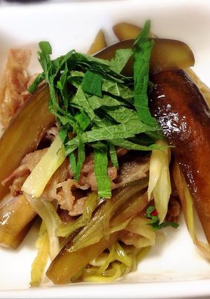 お肉と茄子の香味炒め♪♪-レシピのメイン写真