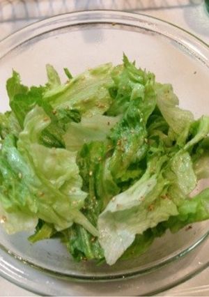 もりもりレタス-レシピのメイン写真