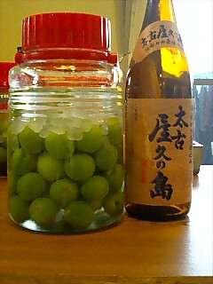 梅酒1芋焼酎-レシピのメイン写真