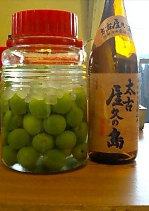 梅酒1芋焼酎-レシピのメイン写真