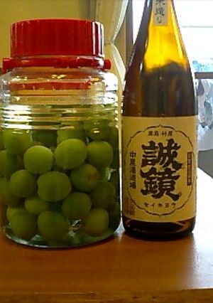 梅酒２氷砂糖を使わない日本酒梅酒-レシピのメイン写真