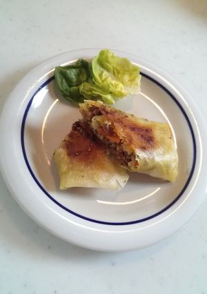 残り物で！簡単お肉たっぷりカレー春巻-レシピのメイン写真