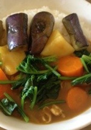 野菜沢山のカレー-レシピのメイン写真